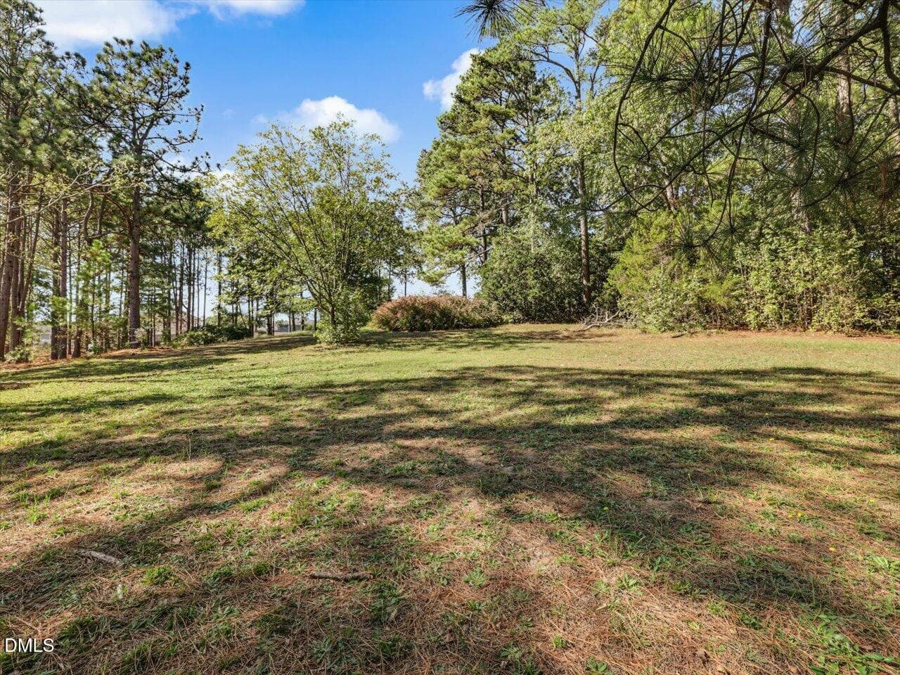 48-Backyard - 4412 Mitchell Mill Road, Wake Forest, NC 27587