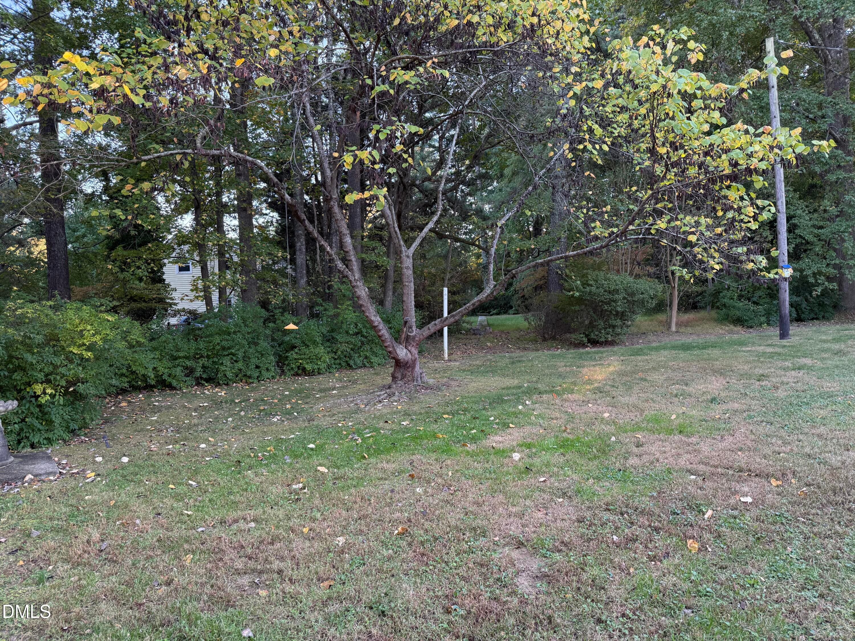Backyard - 5318 Laurent Drive, Durham, NC 27712