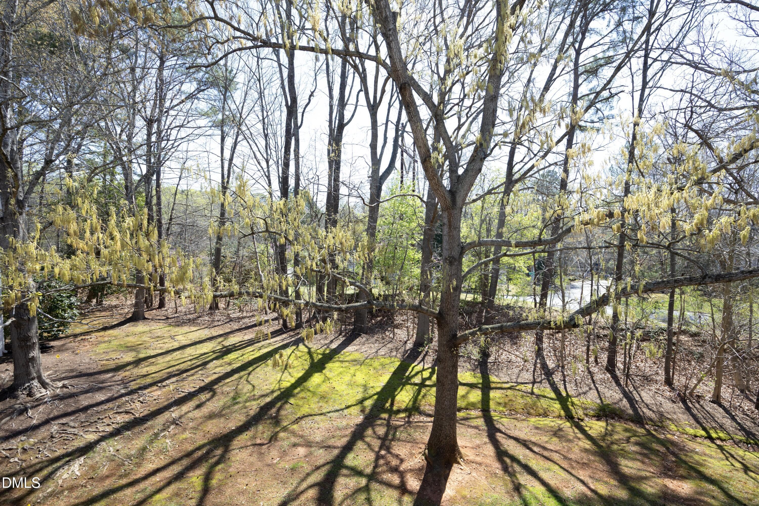 28DeckView - 521 Renshaw Court, Cary, NC 27518