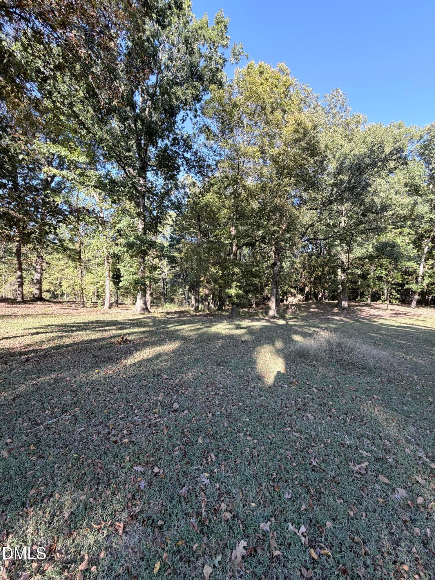 IMG_9200 - 309 Patterson Road, Durham, NC 27704