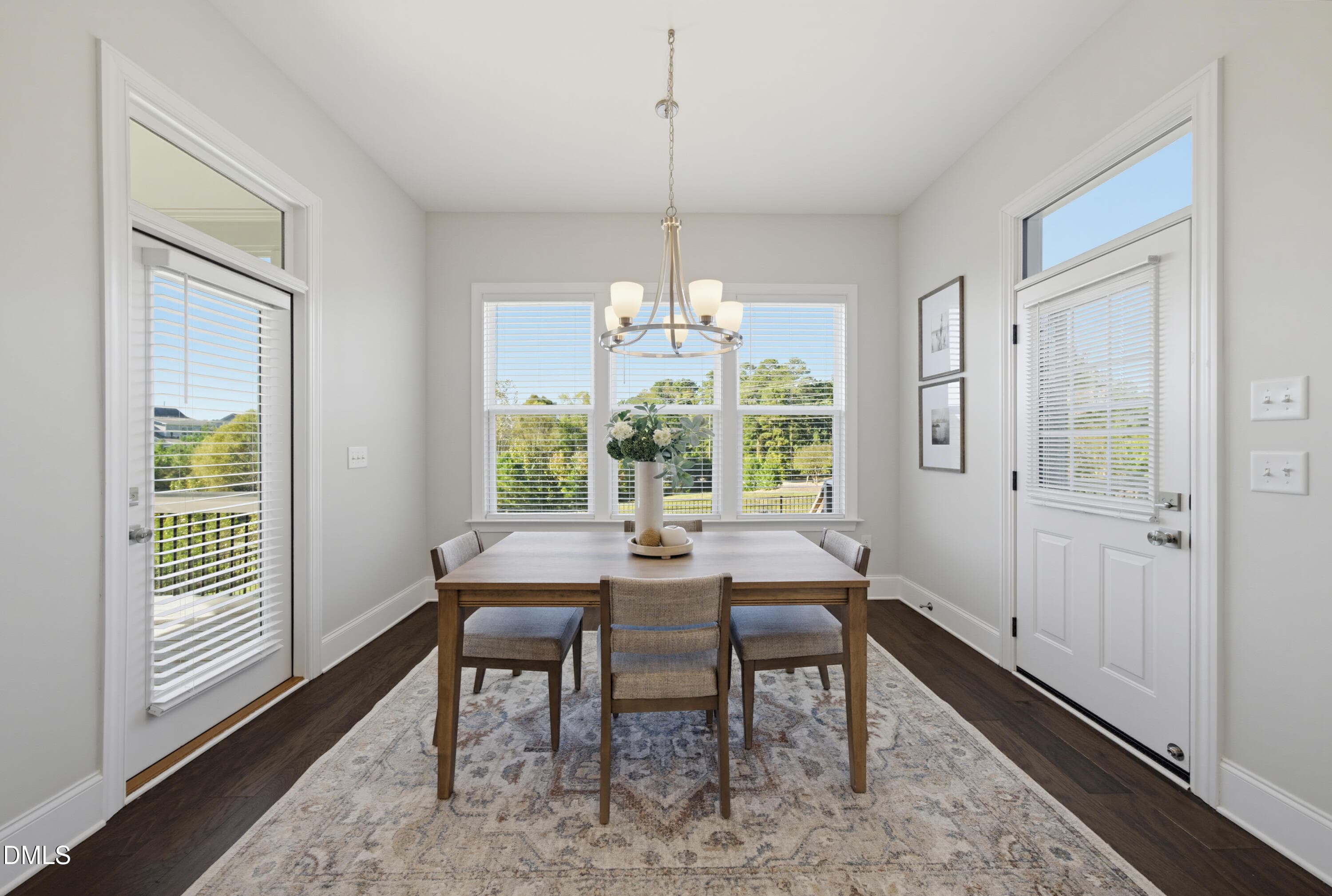 DSC08565 - 1508 Bicknor Drive, Apex, NC 27502