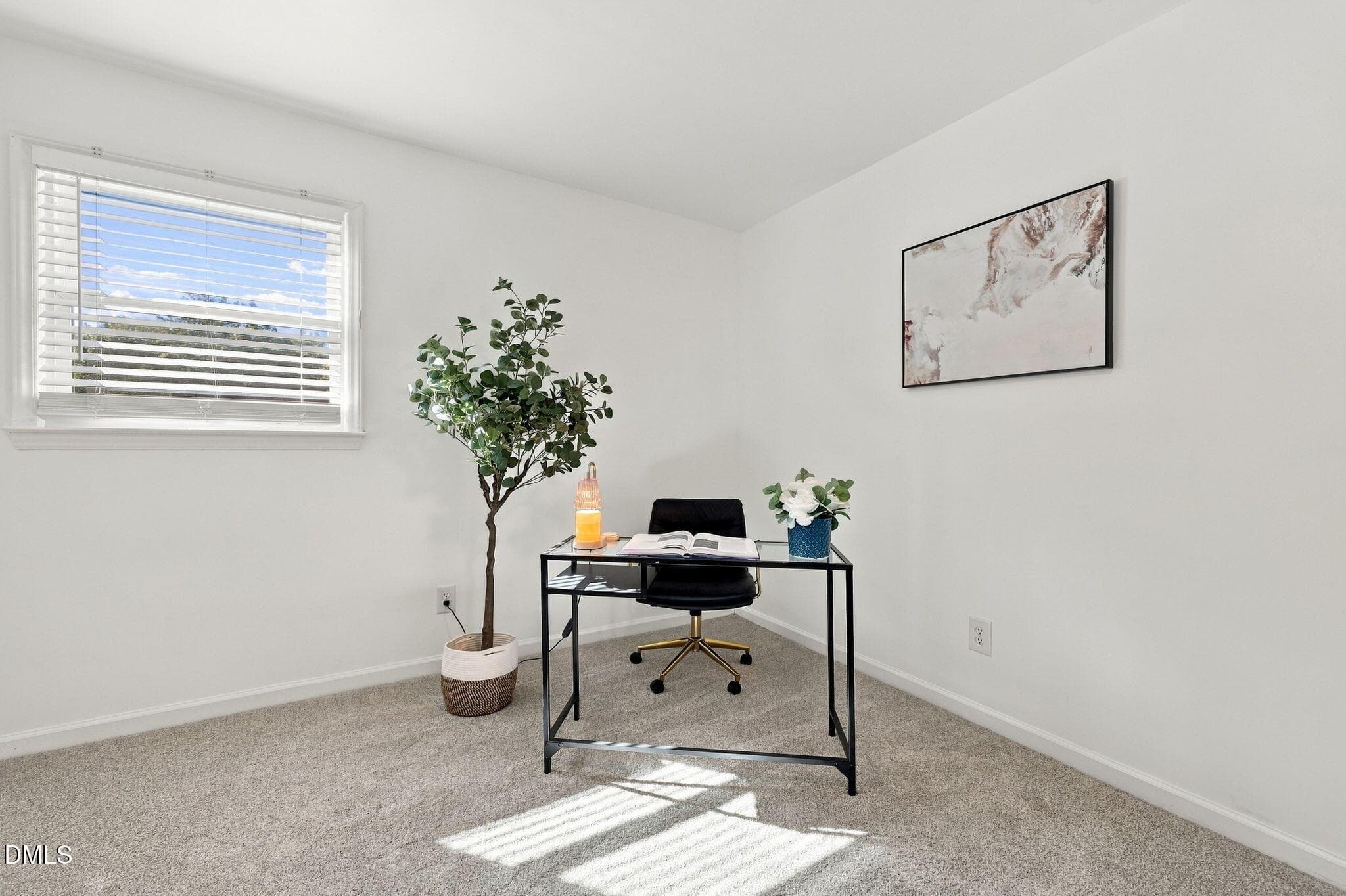 39-web-or-mls-IMG_5054 - 3812 Oak Park Road, Raleigh, NC 27612