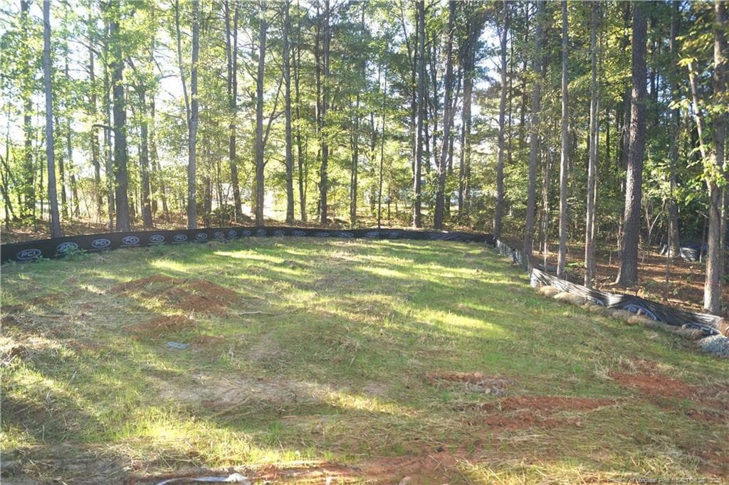 Photo 22 - 139 WILLOWBROOK Drive, Sanford, NC 27330