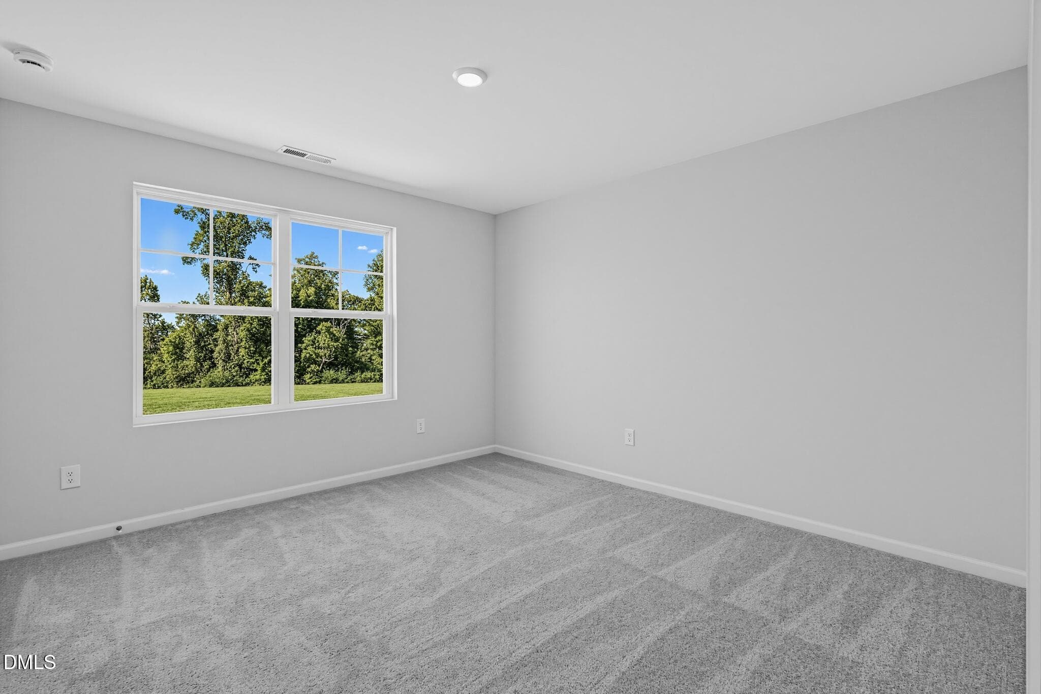 SUN_ElizabethSprings_Pic_Coleman-19 - 1221 Blue Dasher Lane, Rolesville, NC 27587