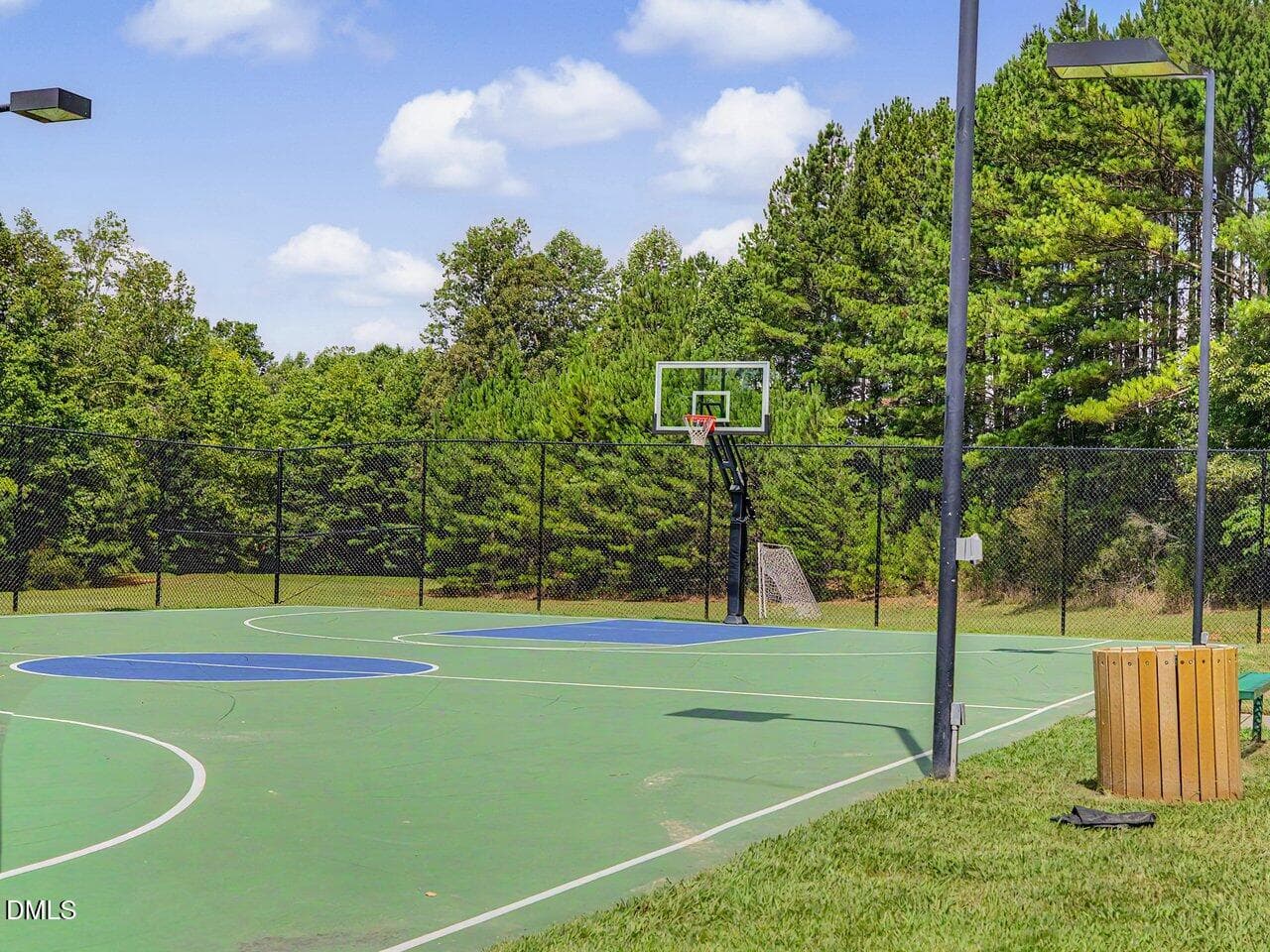 Basketball - 212 Golfers View, Pittsboro, NC 27312