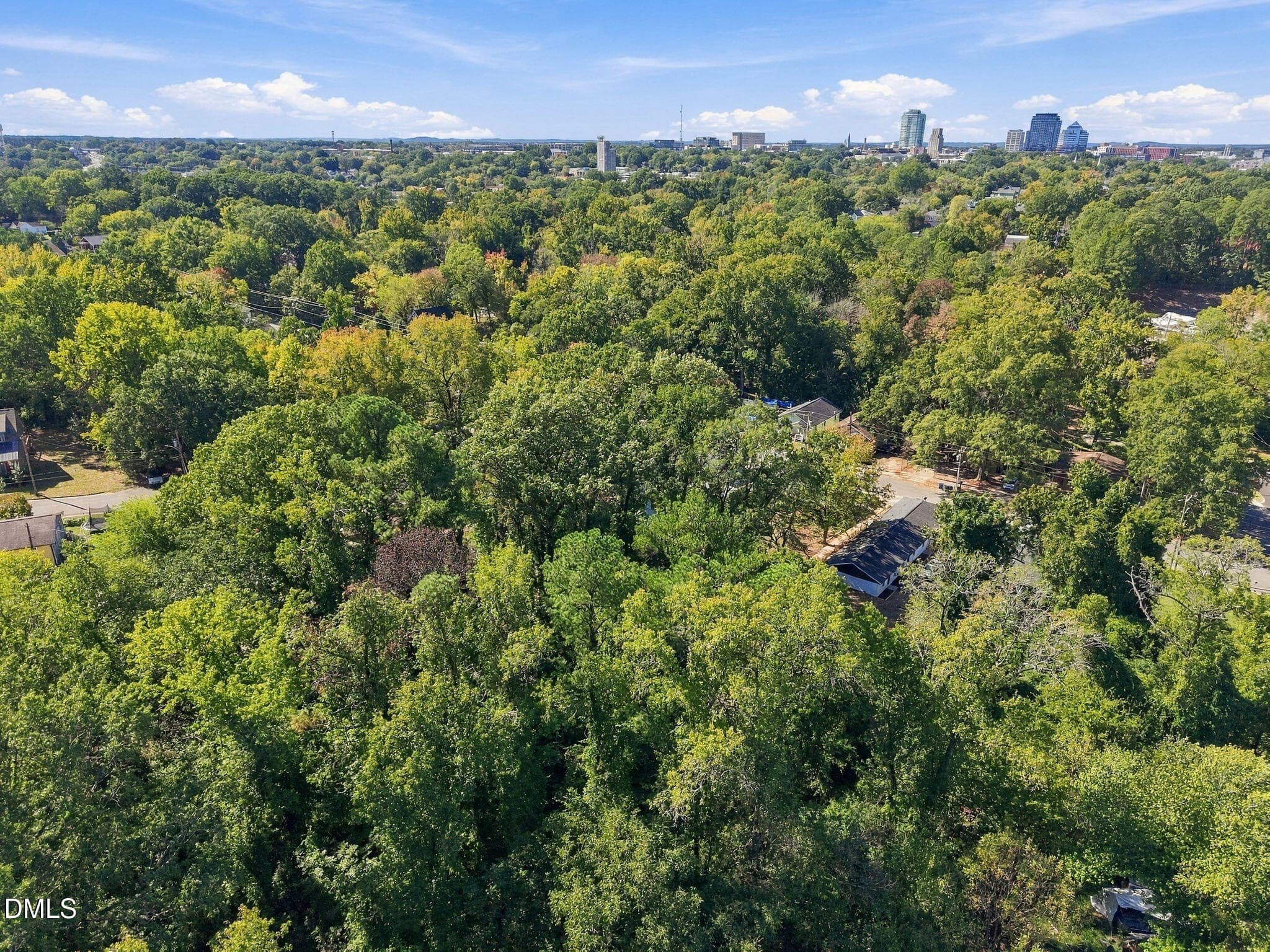 13-web-or-mls-DJI_20261021122857_0276_D - 1508 N Hyde Park Avenue, Durham, NC 27701