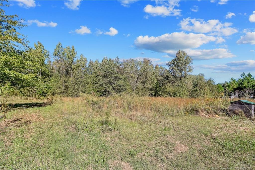 Photo 37 - 2931 Slocomb Road, Linden, NC 28356