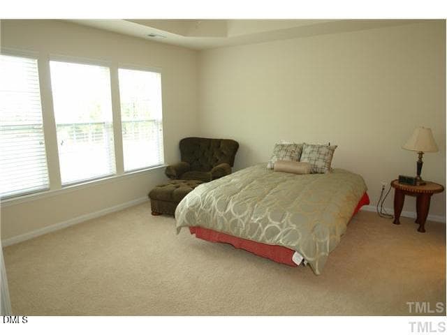 Master BR - 8302 Pilots View Drive, Raleigh, NC 27617