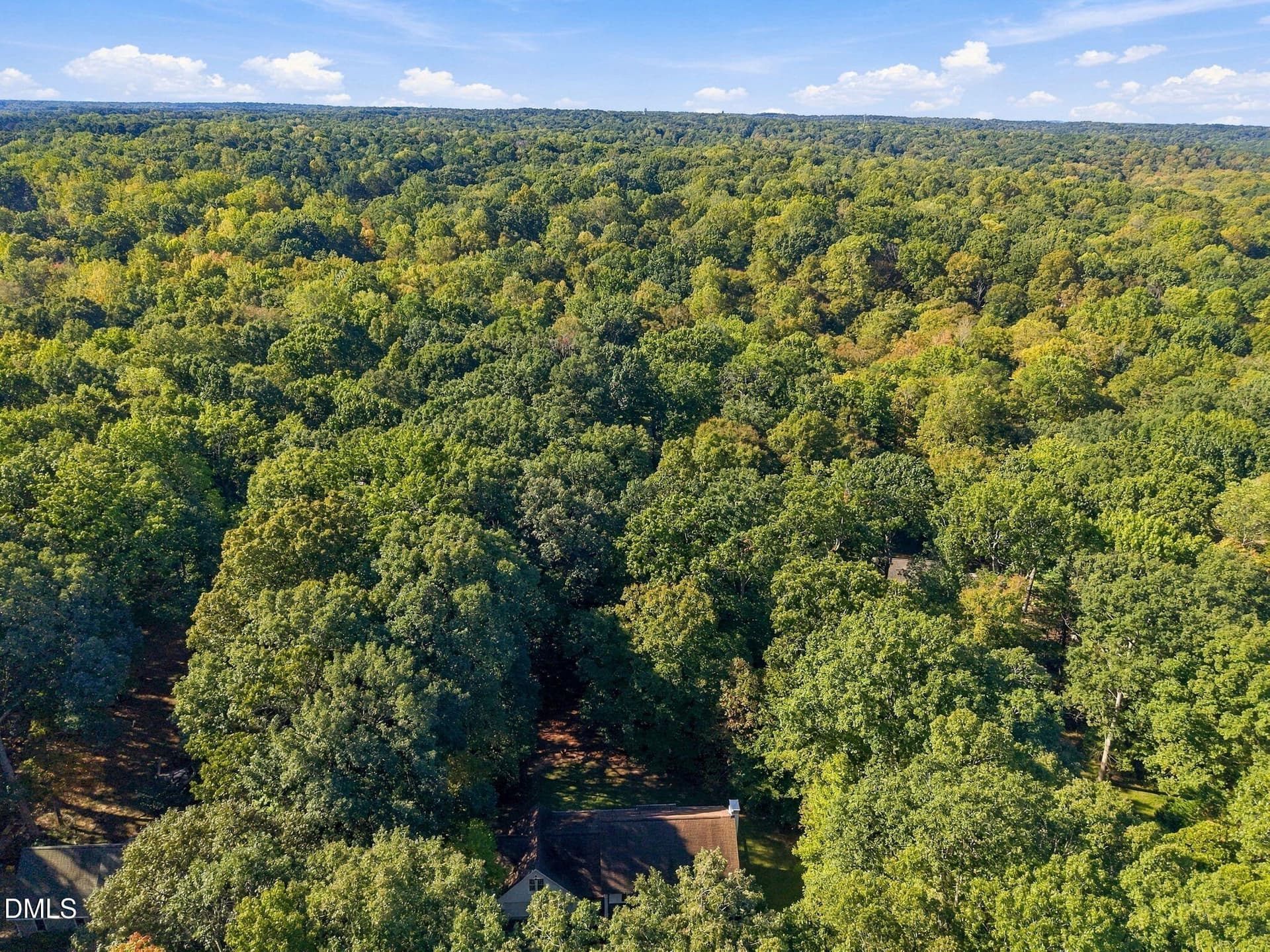 View - 11413 Old Creedmoor Road, Raleigh, NC 27613