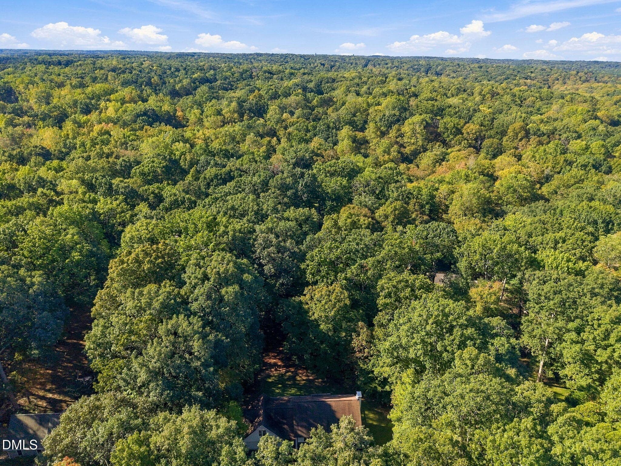 View - 11413 Old Creedmoor Road, Raleigh, NC 27613