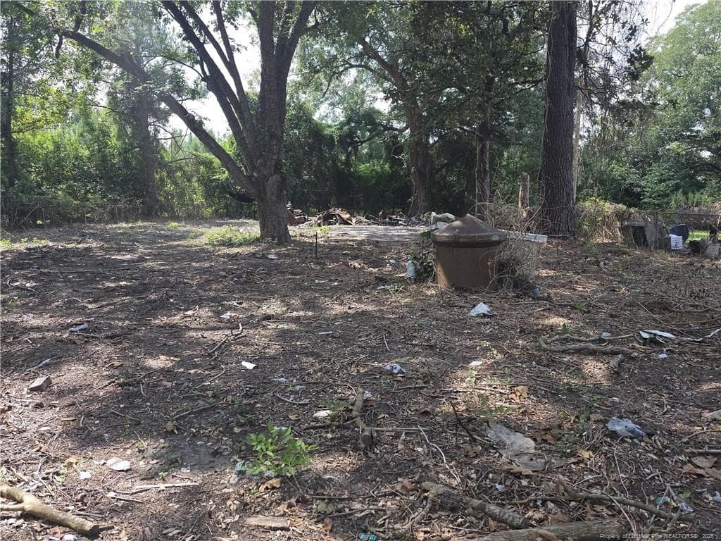 Photo 12 - 1791 DUNN FAMILY Road, Kinston, NC 28501