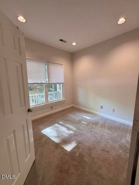 IMG_9825 - 101 Danforth Drive, Cary, NC 27511