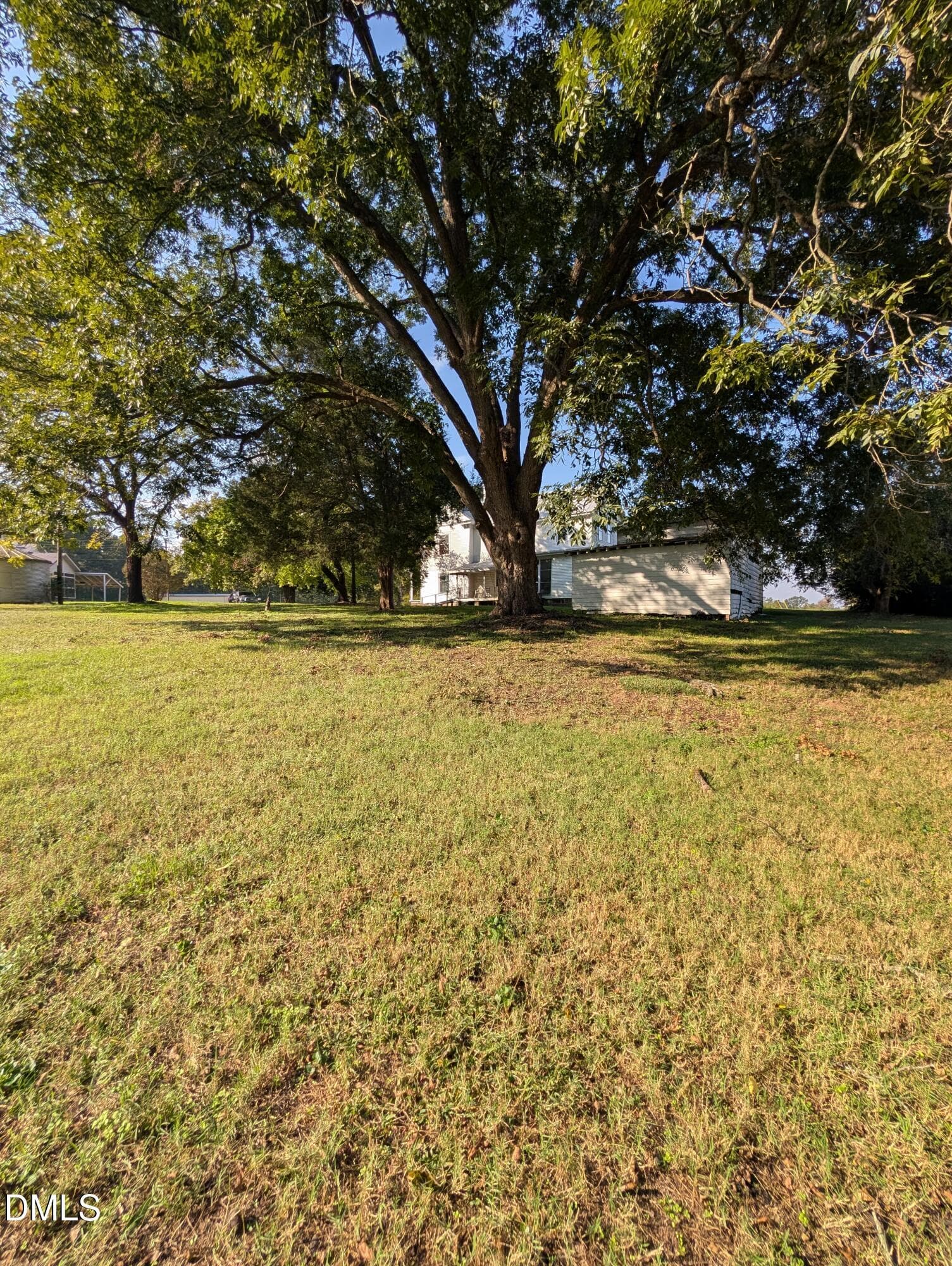 Mature Pecan trees on property - 11715 Us 64a, Spring Hope, NC 27882