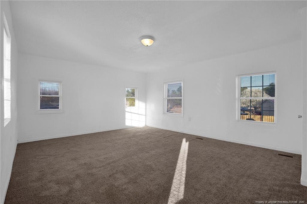 Photo 19 - 173 Style Drive, Parkton, NC 28371