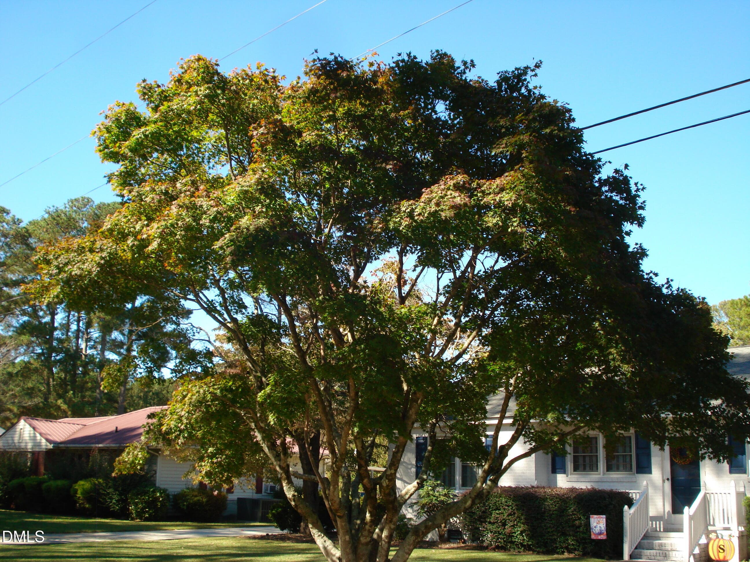 DSC00507 - 104 Jones Drive, Dunn, NC 28334