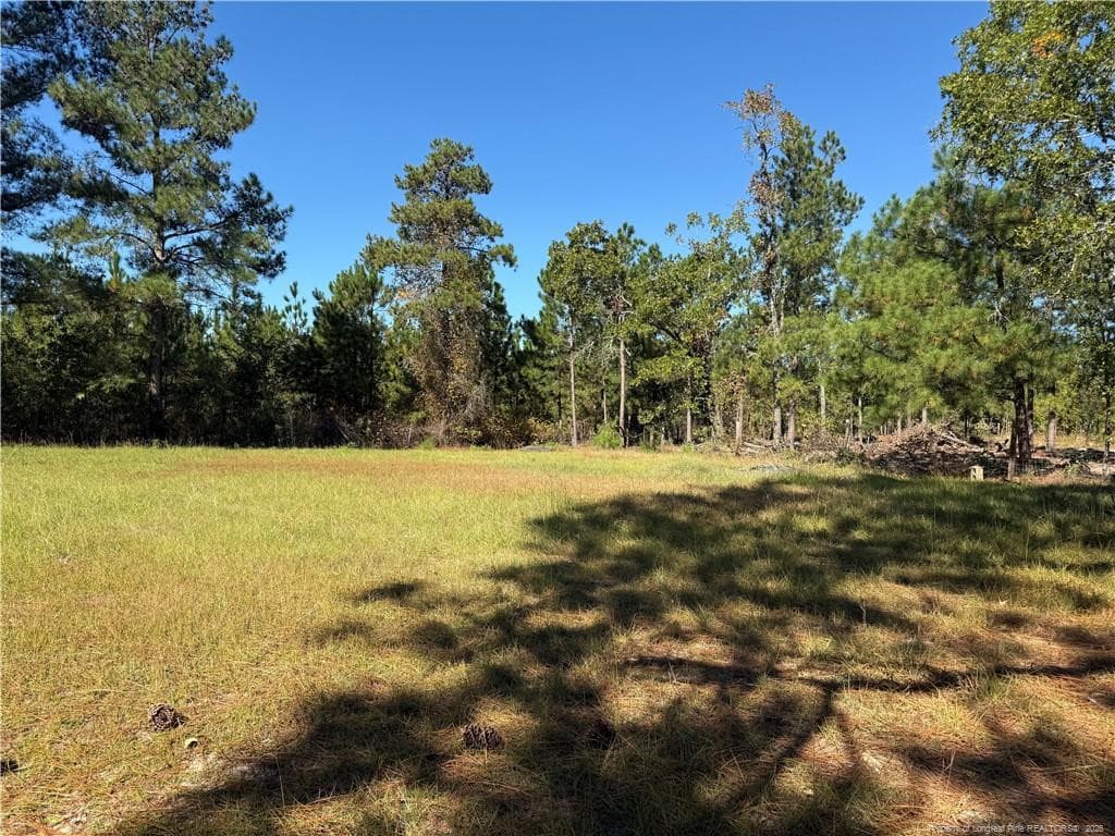 Photo 17 - 616 Hillcrest Drive, Raeford, NC 28376