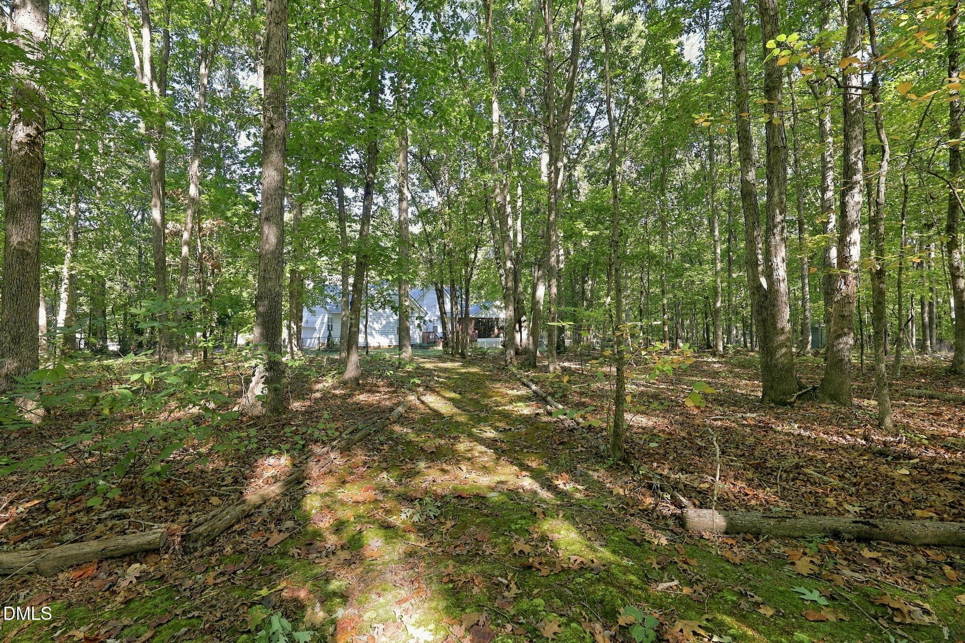 54-web-or-mls-IMG_0135 - 3714 Dillon Lane, Wake Forest, NC 27587