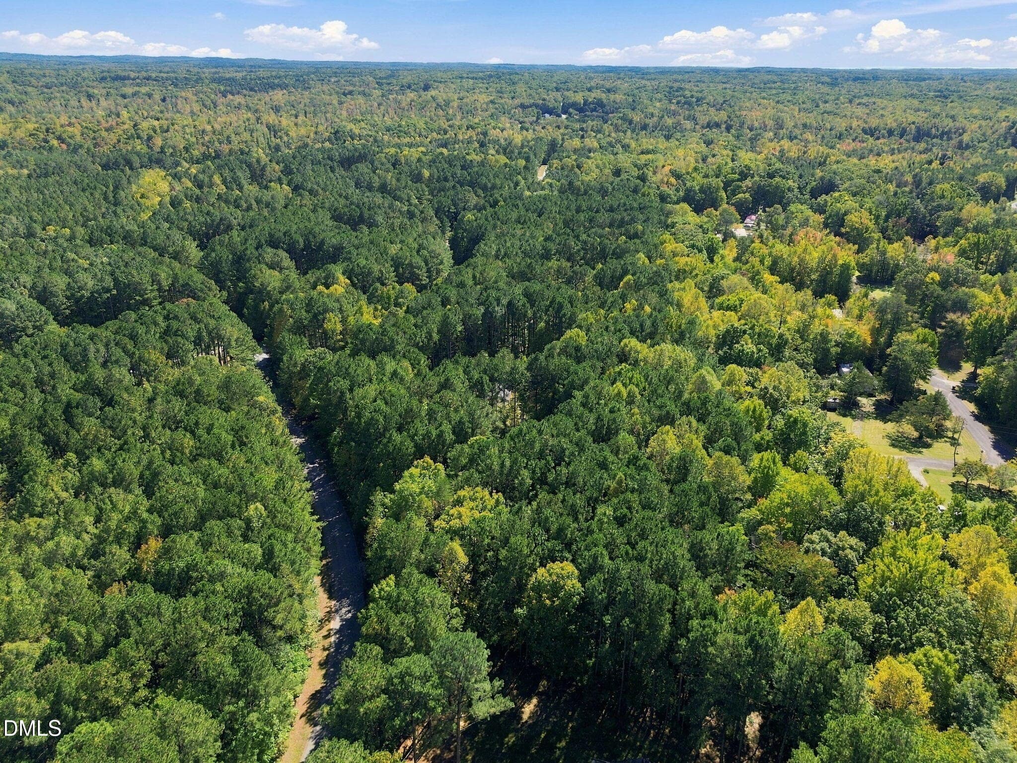 8-web-or-mls-DJI_0005 - 1009 Pintail Drive, Mebane, NC 27302
