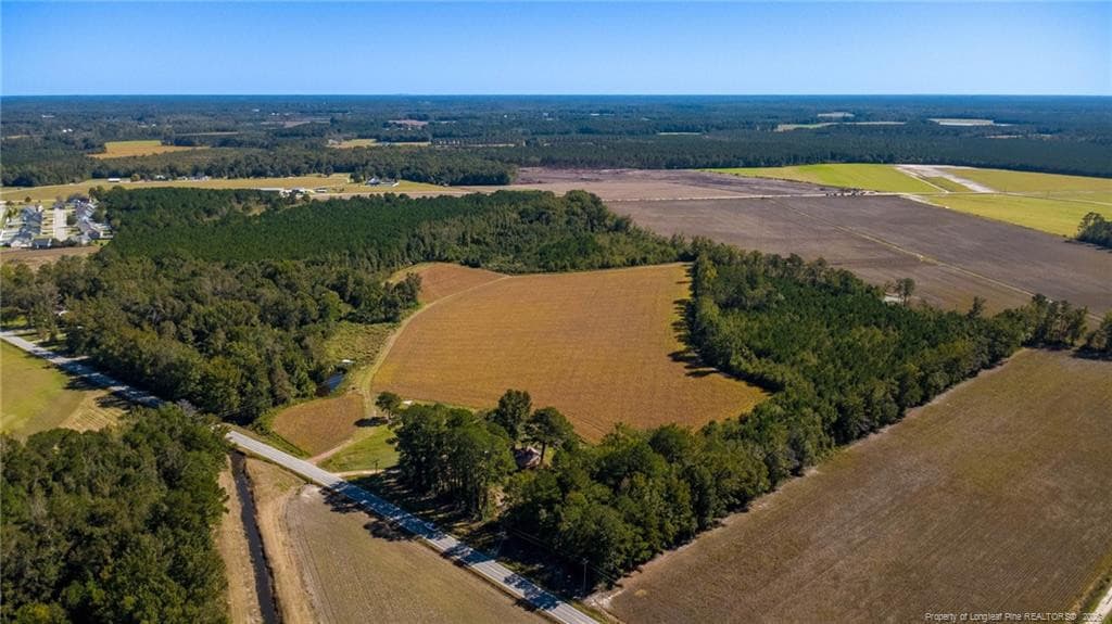 Photo 2 - 0 Carl Freeman Road, Stedman, NC 28391