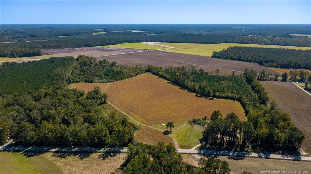 Photo 3 - 0 Carl Freeman Road, Stedman, NC 28391