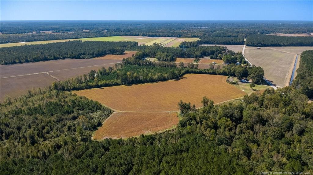 Photo 6 - 0 Carl Freeman Road, Stedman, NC 28391