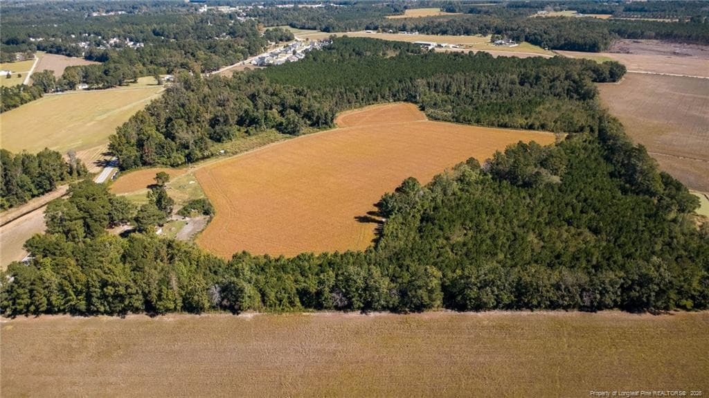 Photo 8 - 0 Carl Freeman Road, Stedman, NC 28391
