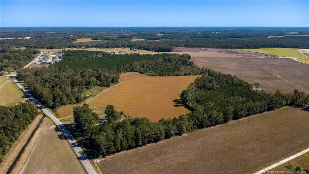 Photo 9 - 0 Carl Freeman Road, Stedman, NC 28391