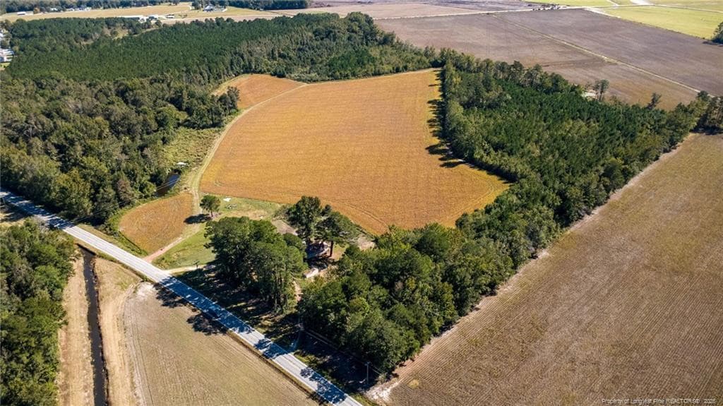Photo 10 - 0 Carl Freeman Road, Stedman, NC 28391