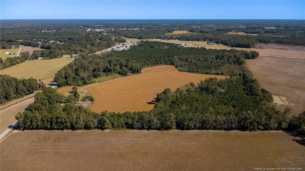 Photo 11 - 0 Carl Freeman Road, Stedman, NC 28391