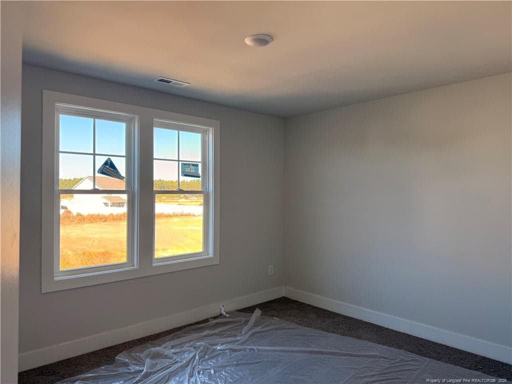 Photo 13 - 176 Easy Street, Raeford, NC 28376