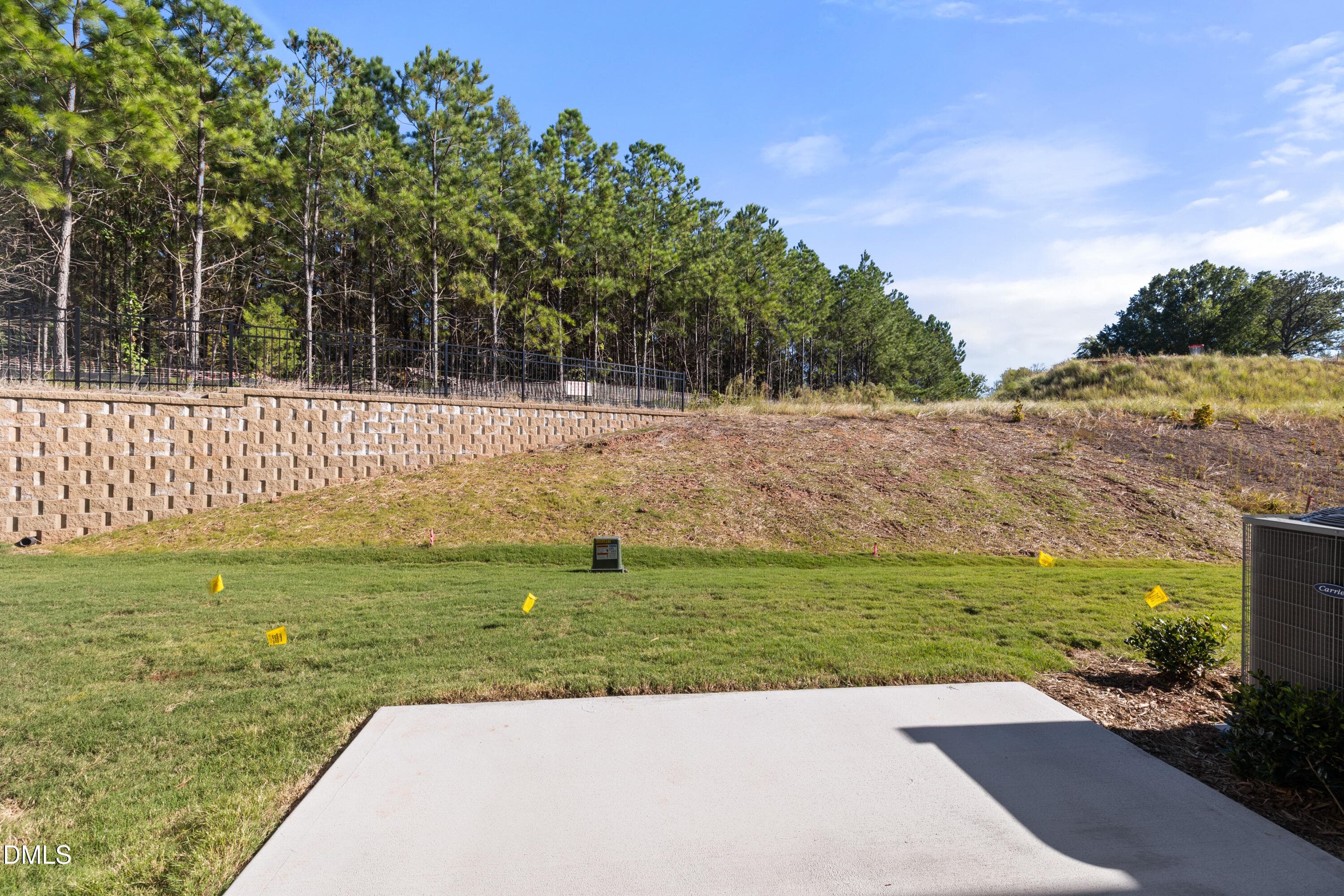 DX3A7375 - 1007 Sparkling Water Way, Durham, NC 27703