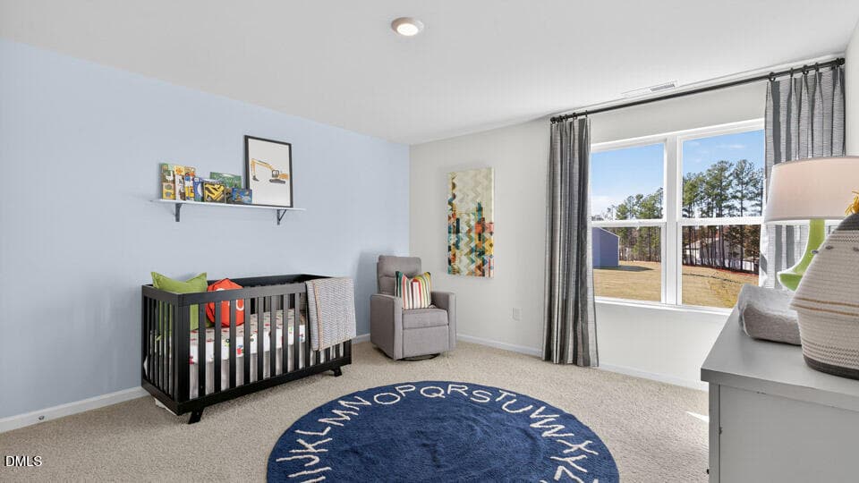 BEDROOM - 66 Richmond Run, Stem, NC 27581