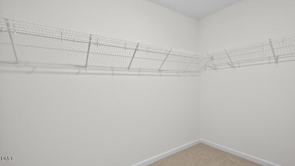 PRIMARY SUITE CLOSET - 66 Richmond Run, Stem, NC 27581