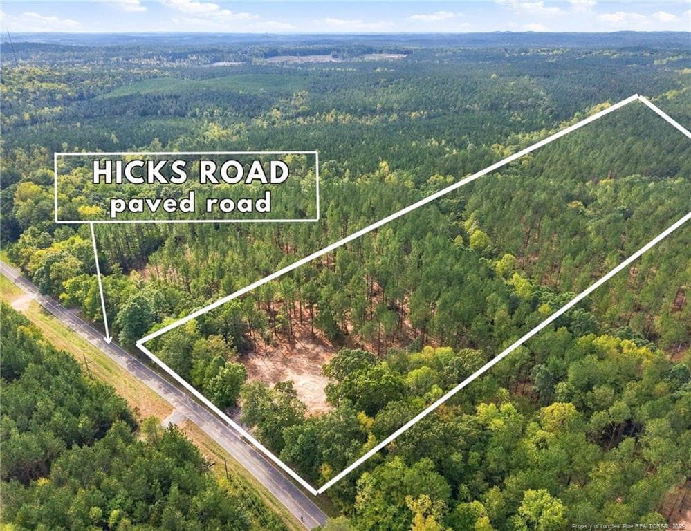 Lot 3 Capelsie Road, Candor, NC 27229