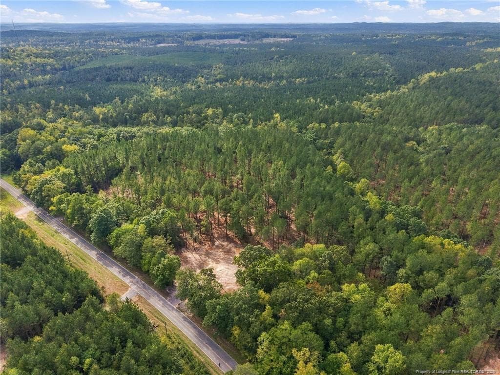 Photo 5 - Lot 3 Capelsie Road, Candor, NC 27229