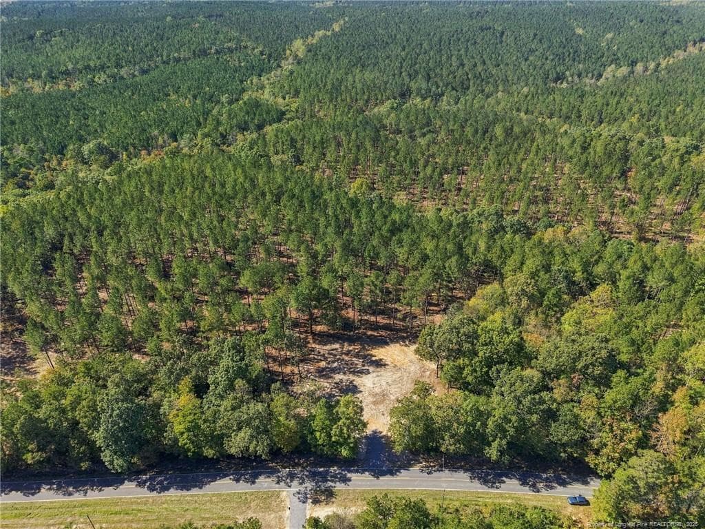 Photo 6 - Lot 3 Capelsie Road, Candor, NC 27229