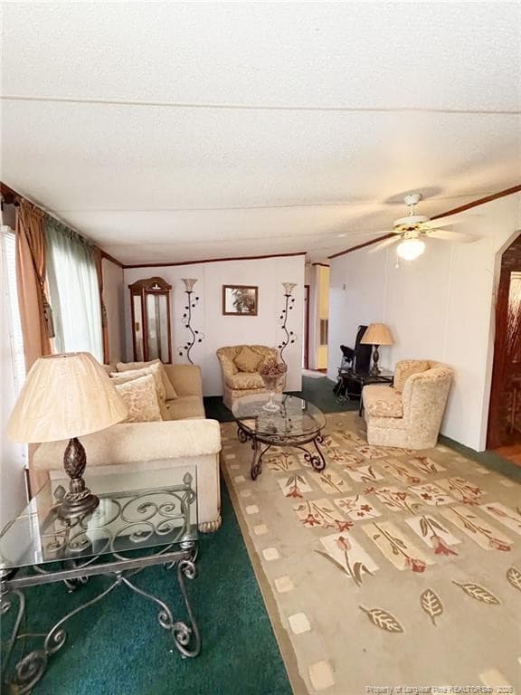 Photo 8 - 4307 Bunnlevel Erwin Road, Erwin, NC 28339