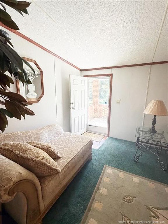 Photo 9 - 4307 Bunnlevel Erwin Road, Erwin, NC 28339