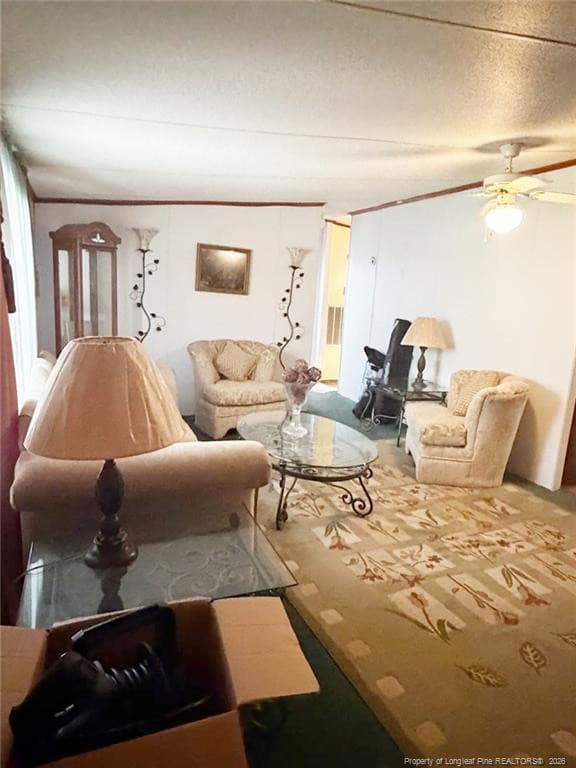 Photo 10 - 4307 Bunnlevel Erwin Road, Erwin, NC 28339