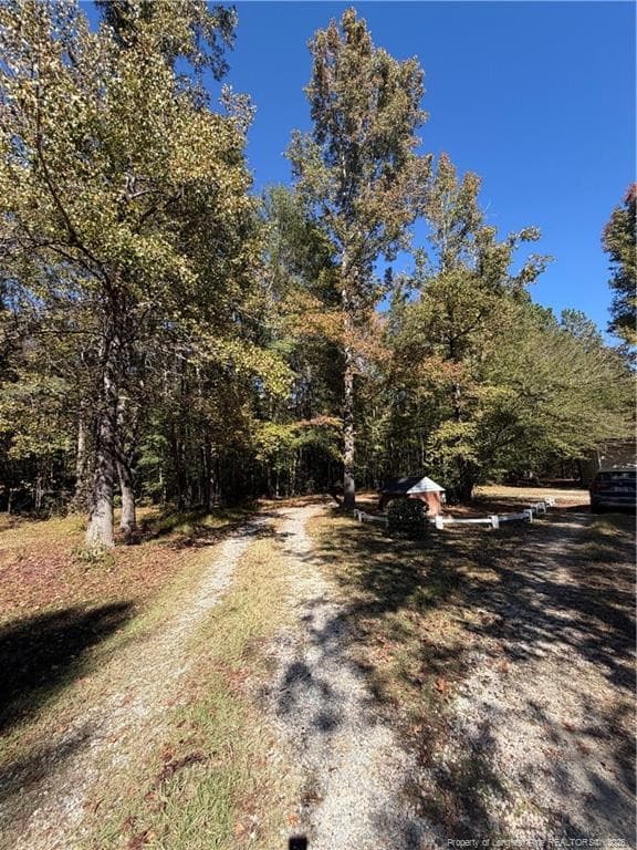 Photo 25 - 4307 Bunnlevel Erwin Road, Erwin, NC 28339