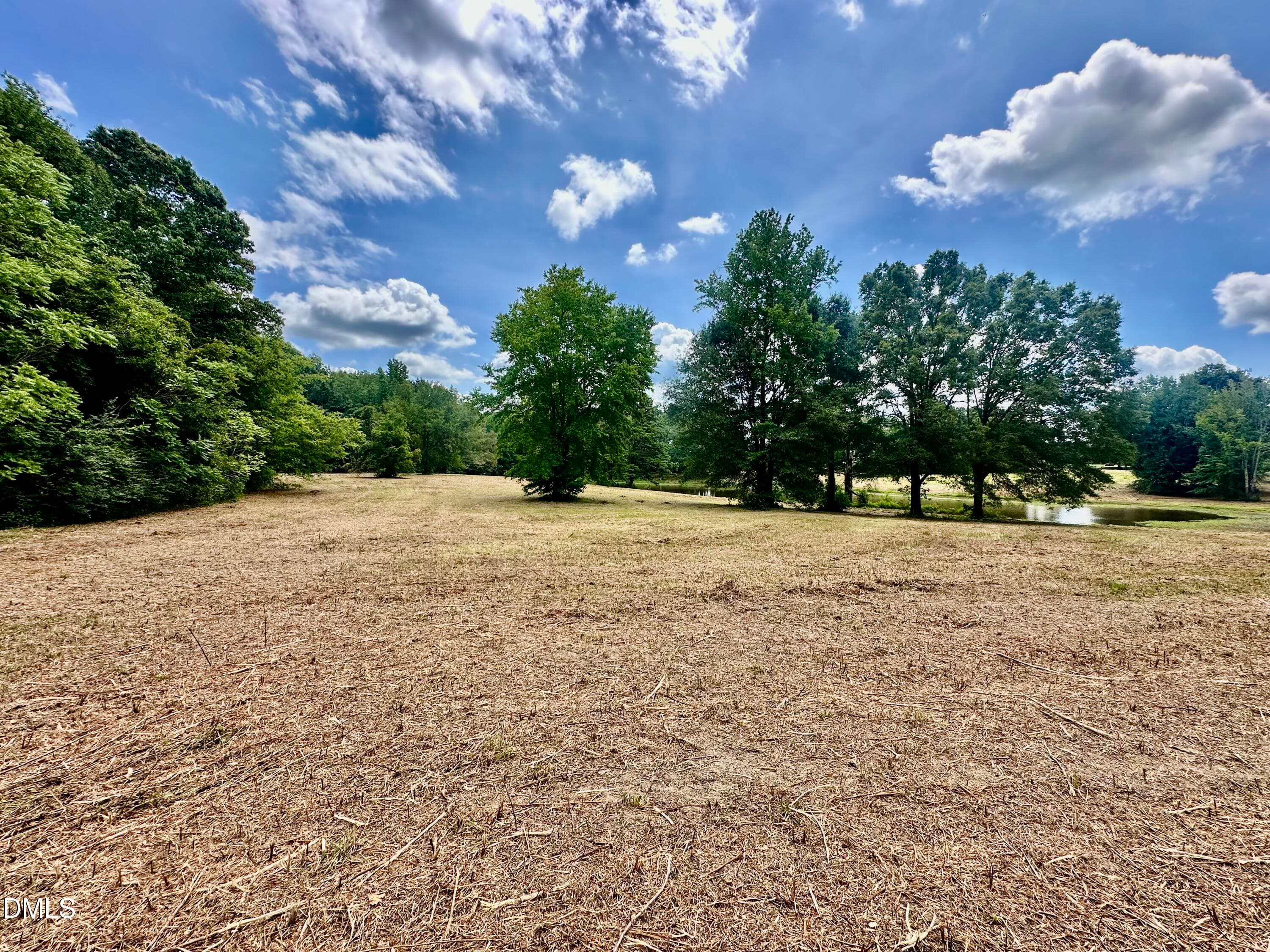 IMG_9342 - 7.50 Acres Noah Davis Road, Roxboro, NC 27574