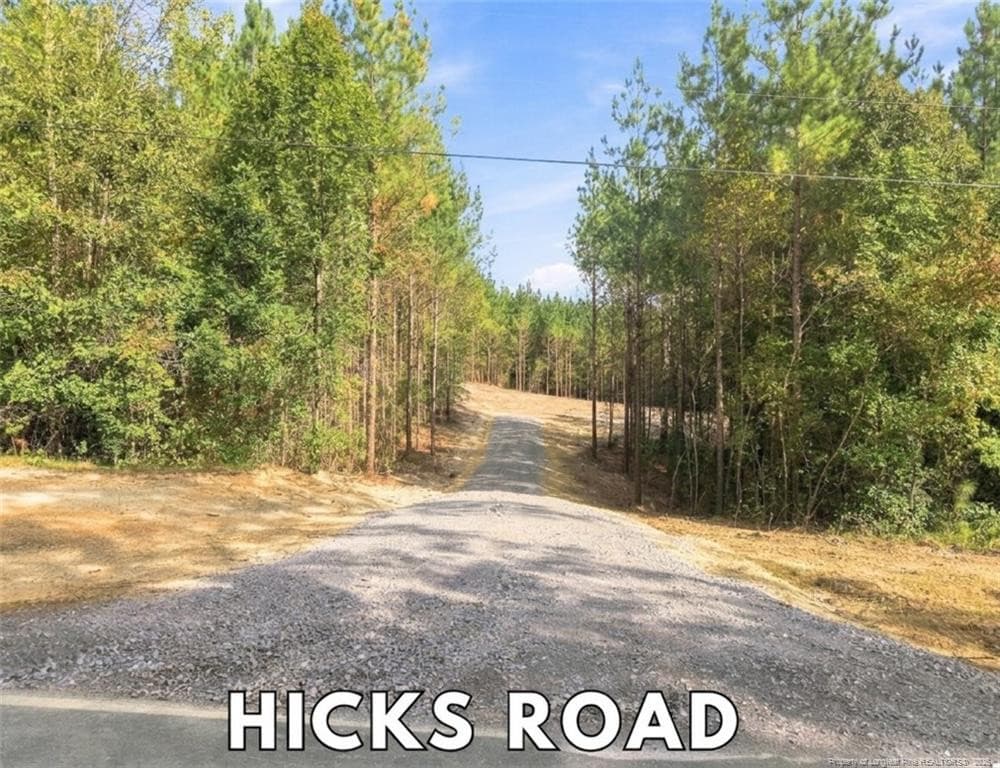 Photo 2 - Lot 6 Capelsie Road, Candor, NC 27229