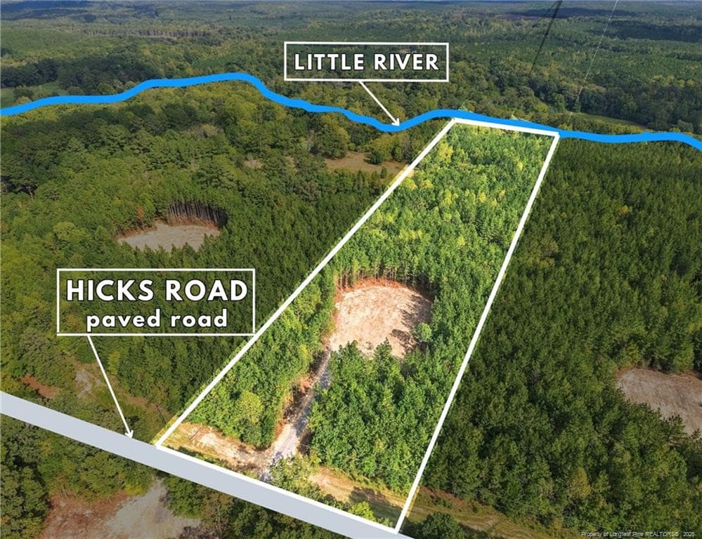 Photo 3 - Lot 6 Capelsie Road, Candor, NC 27229