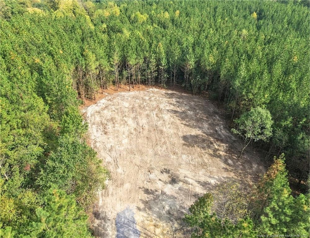 Photo 4 - Lot 6 Capelsie Road, Candor, NC 27229