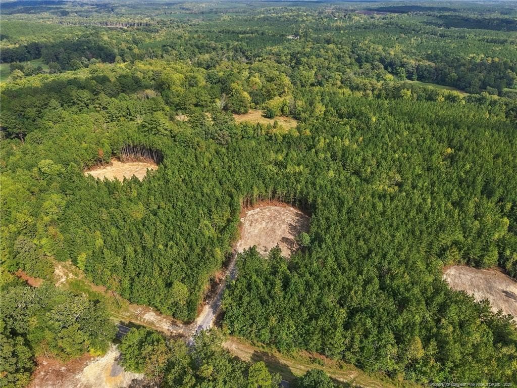 Photo 5 - Lot 6 Capelsie Road, Candor, NC 27229