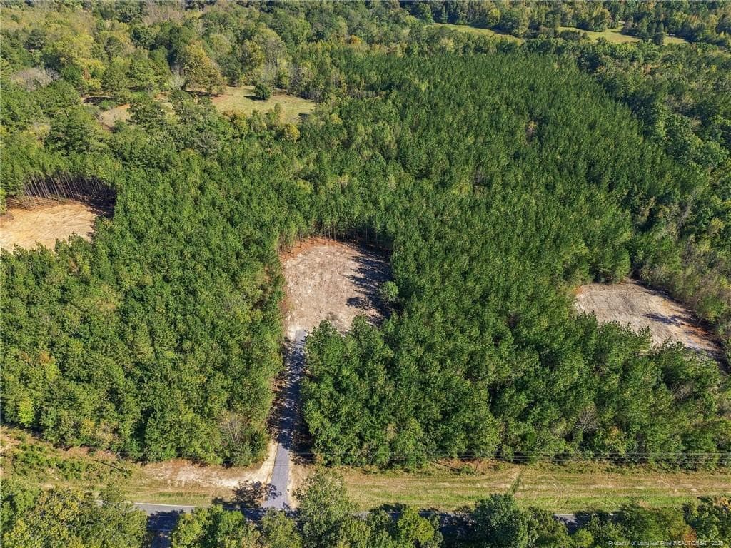 Photo 6 - Lot 6 Capelsie Road, Candor, NC 27229