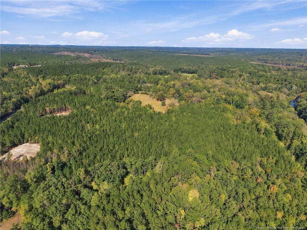 Photo 7 - Lot 6 Capelsie Road, Candor, NC 27229