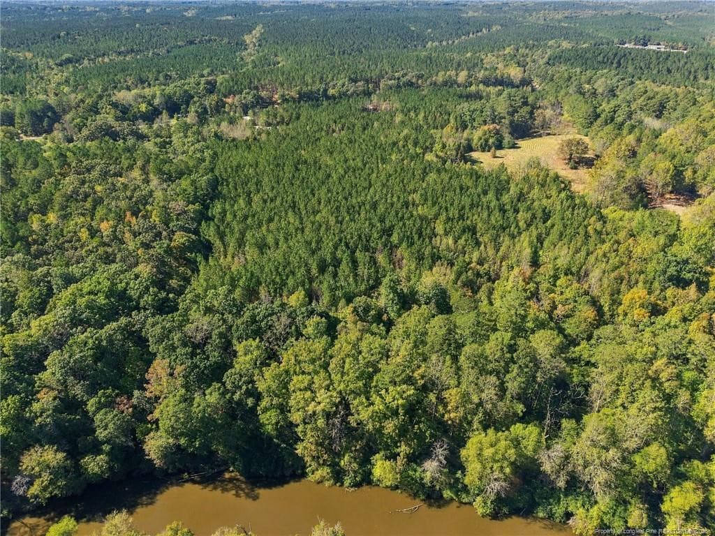 Photo 8 - Lot 6 Capelsie Road, Candor, NC 27229