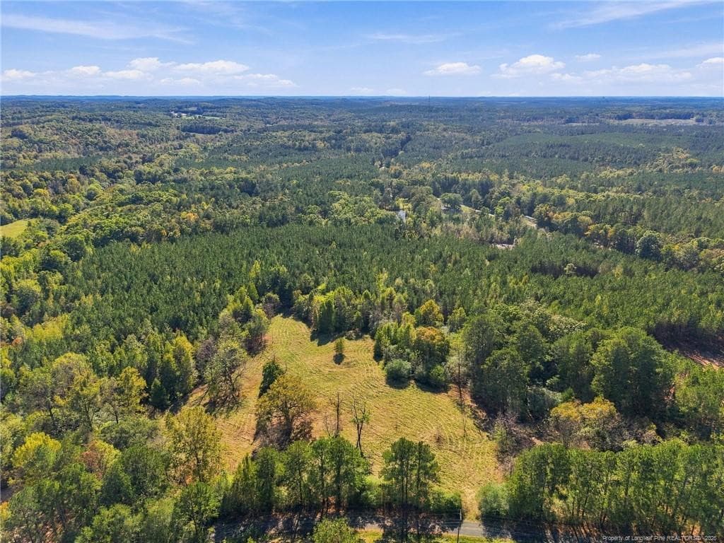 Photo 9 - Lot 6 Capelsie Road, Candor, NC 27229