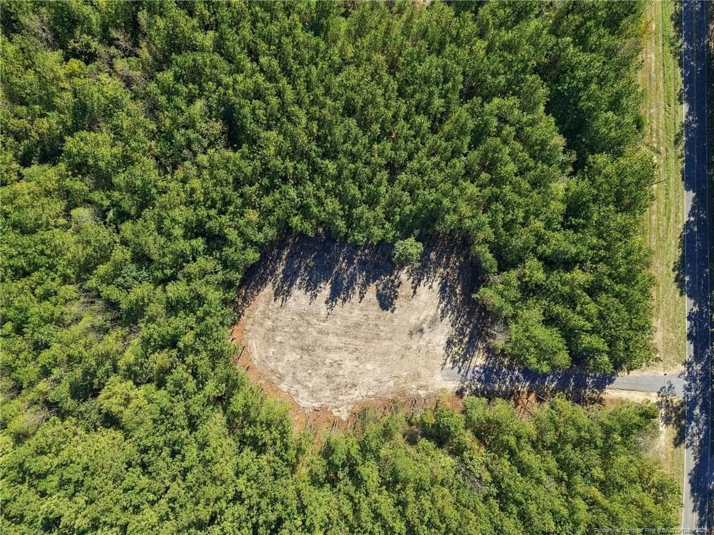 Photo 10 - Lot 6 Capelsie Road, Candor, NC 27229